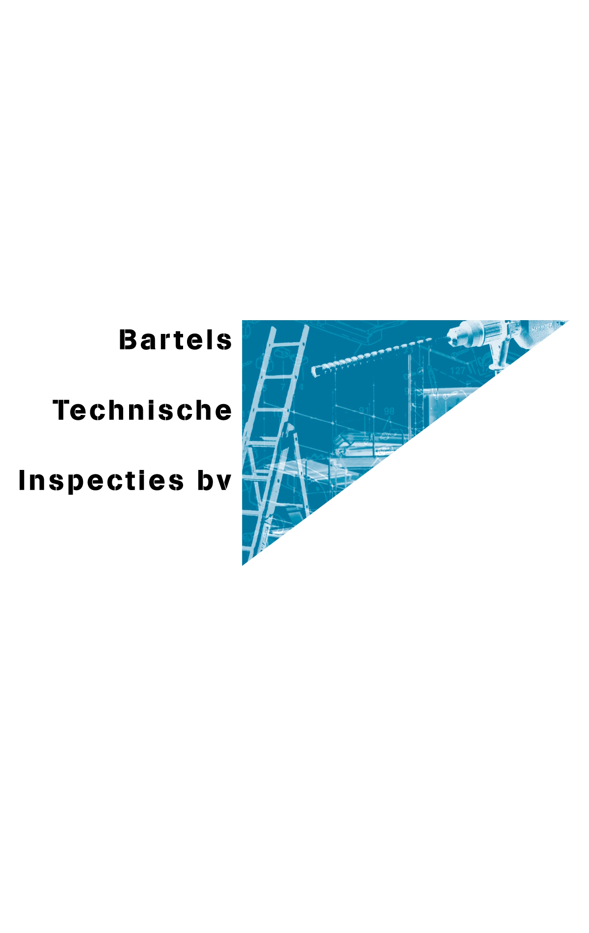 Logo BTI